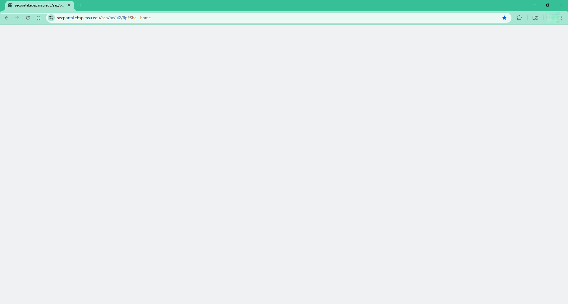 Screenshot of a blank browser window due to browser extensions